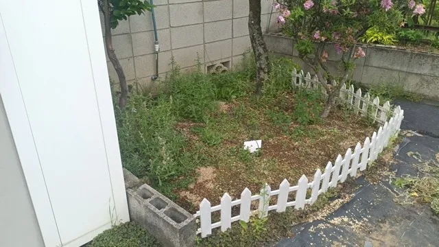 Before After
