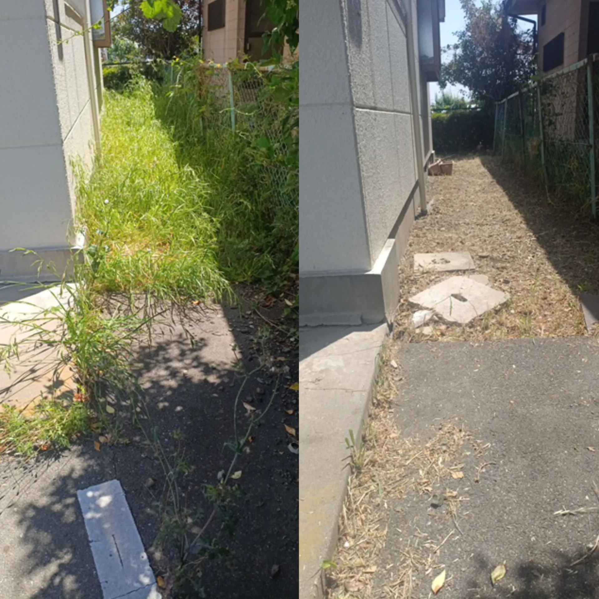 藤岡市のアパート草刈りをご予算に合わせた内容で対応いたしました。