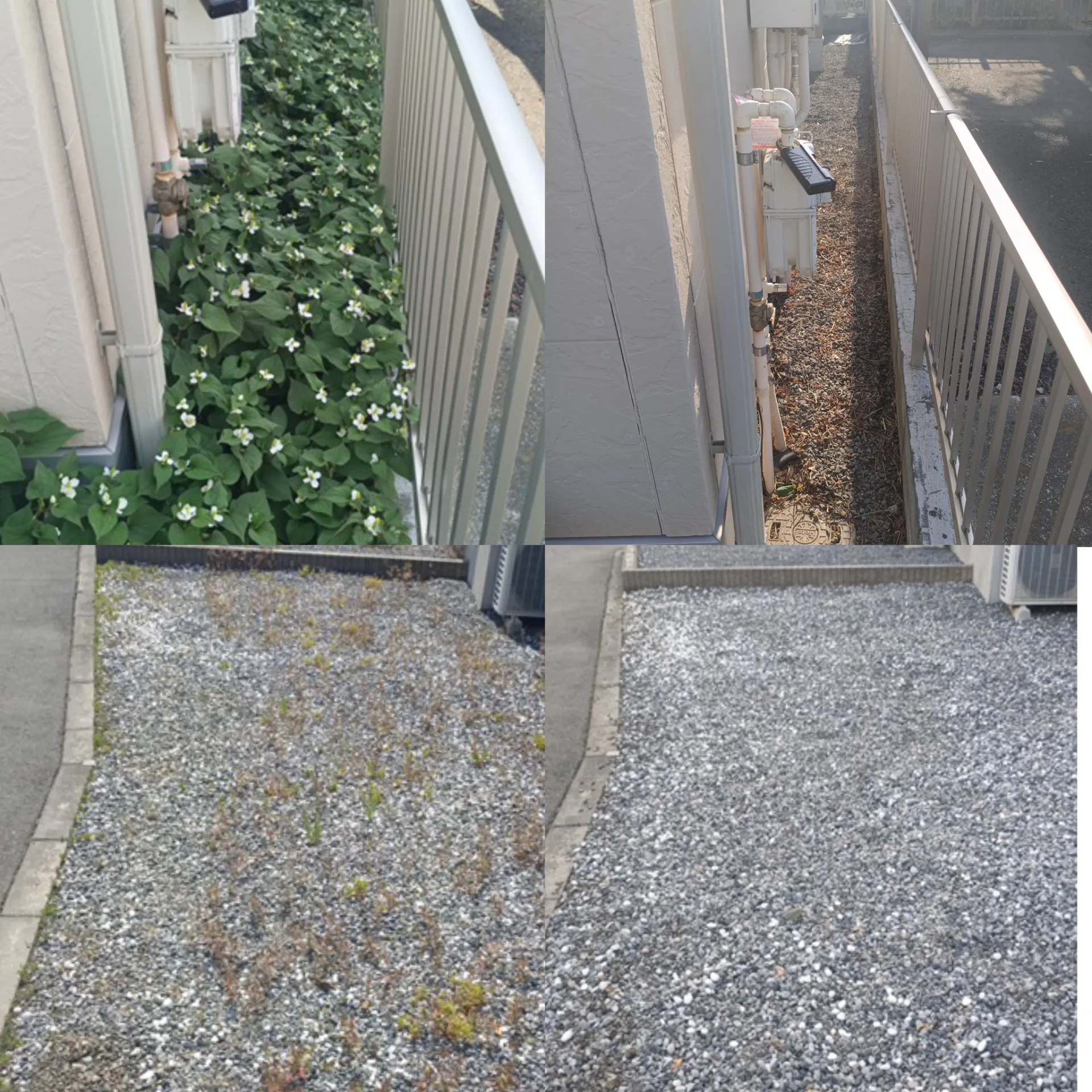 伊勢崎市の草むしり・草取り｜完全手作業で除草対応