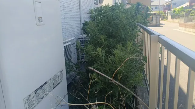 館林市にて、建物周りの草刈りと除草剤散布を行いました。