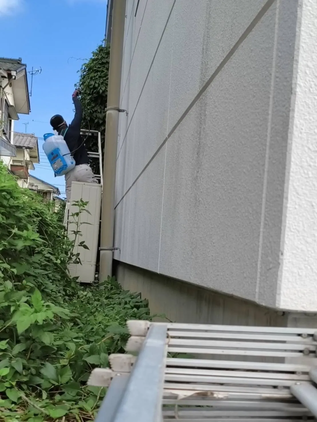 大手通信会社様にて除草剤散布を実施しました