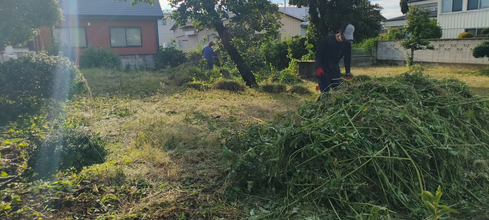 高崎市で草刈り・ツル除去｜作業中にスズメバチの巣も発見