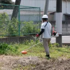 定期